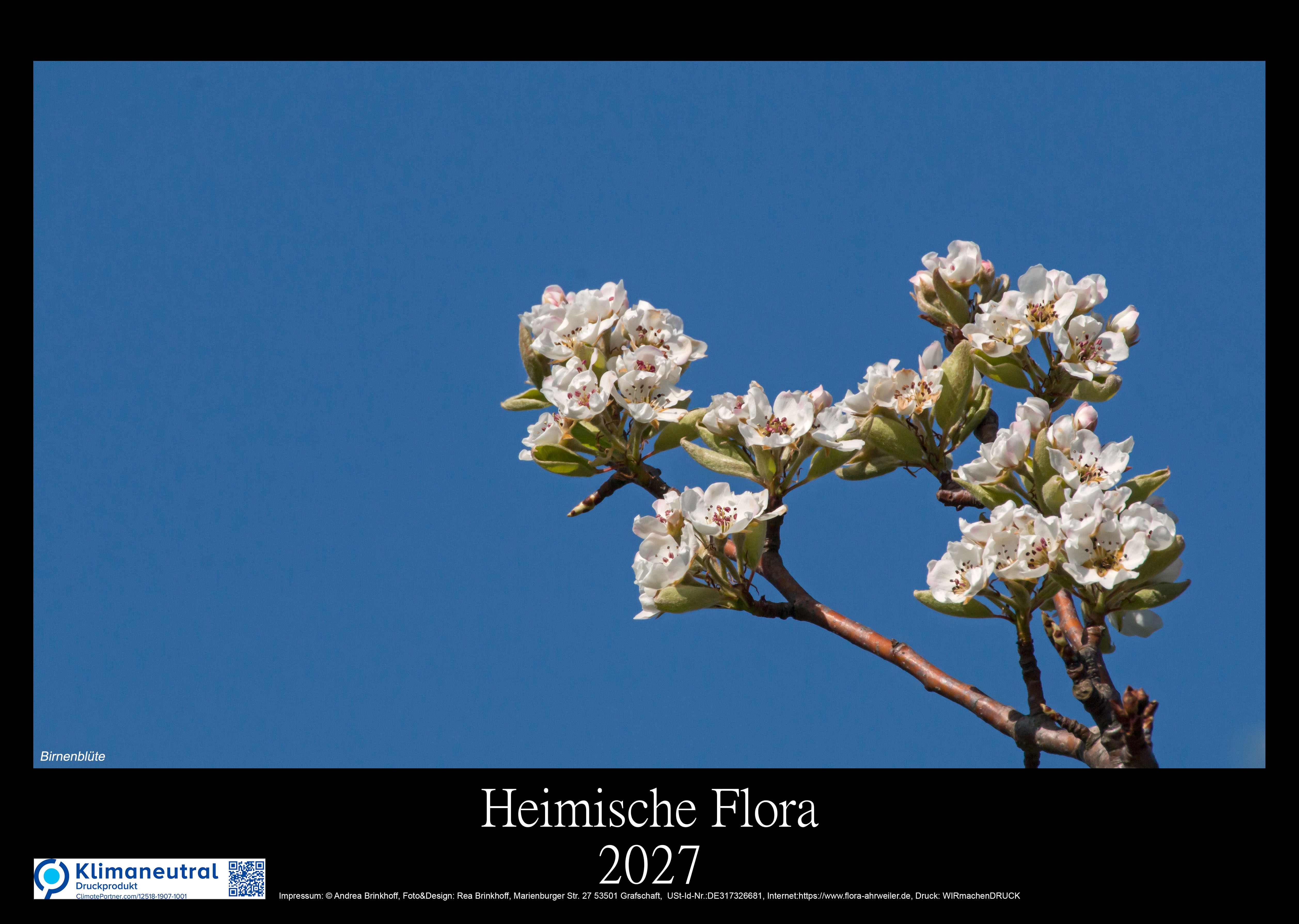 Flora Ahrweiler Heimische Flora
